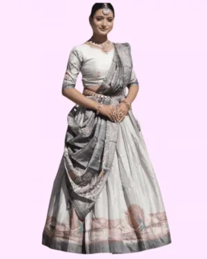Banarasi Lehenga Choli